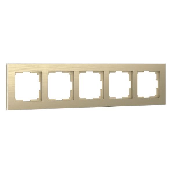Рамка на 5 постов (шампань алюминий) W0051711
